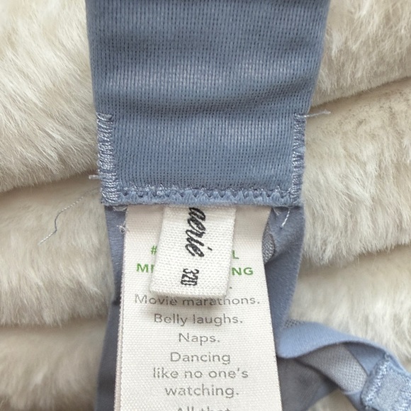 Aerie Light Blue Mesh Underwire Bra - Picture 2 of 2